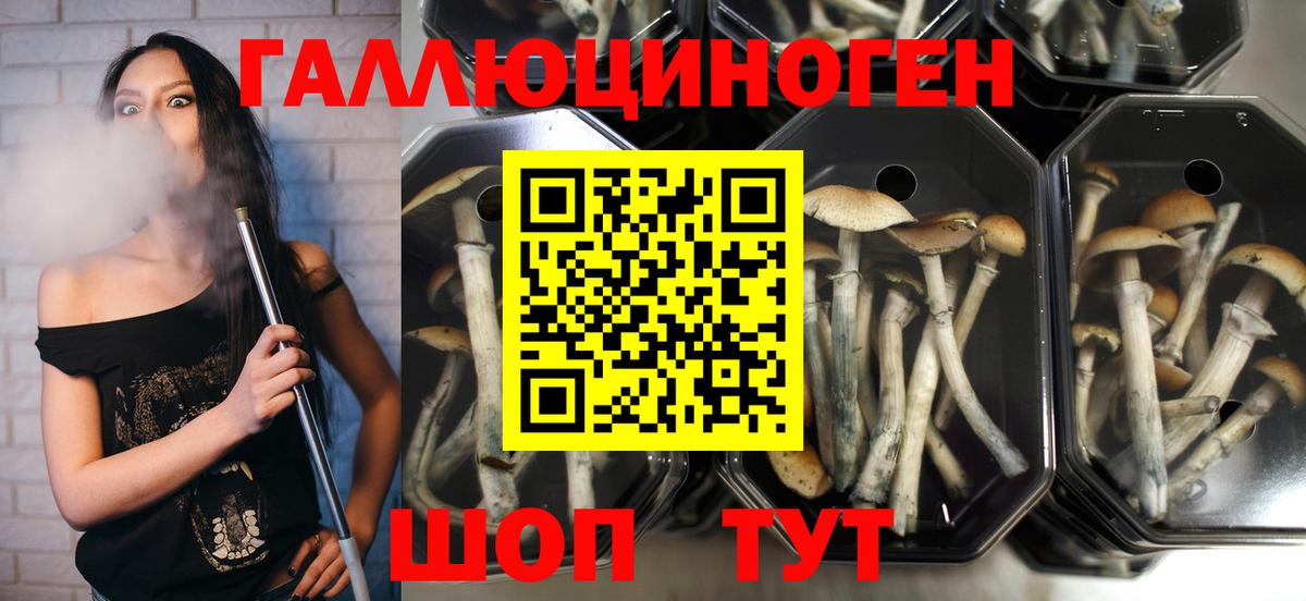 Ковров  Галлюциногенные грибы ЛСД  Вход с VPN 